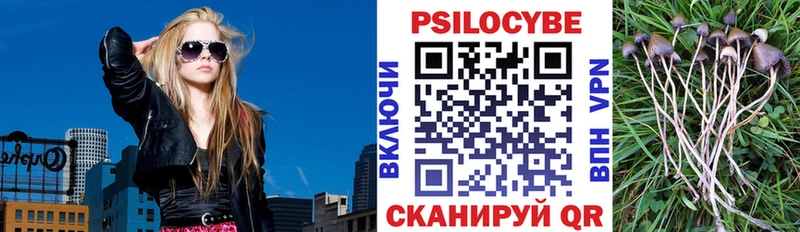 hydra маркетплейс  купить наркотики цена  Алексеевка  Псилоцибиновые грибы Psilocybine cubensis 